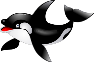 Killer whale PNG-71256